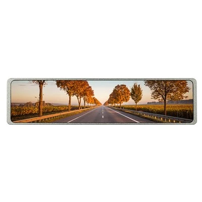 Mòdul de pantalla d'automòbils MIPI TFT LCD d'11,26 polzades